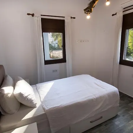 빌라 Enjoy 4br W/magnificent View In Turkbuku *